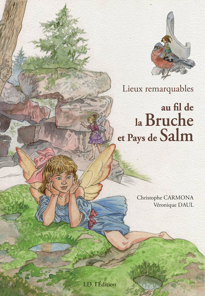 Lieux remarquables au fil de la Bruche et Pays de Salm