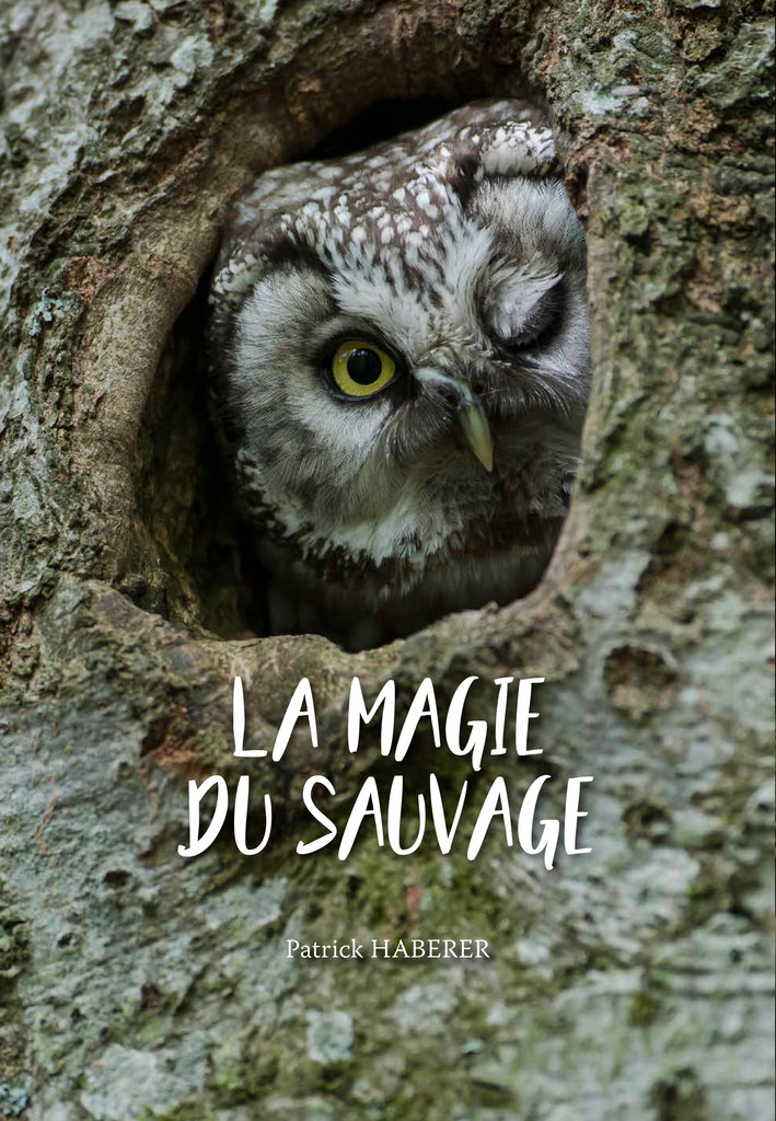 La Magie du Sauvage - ID L'EDITION
