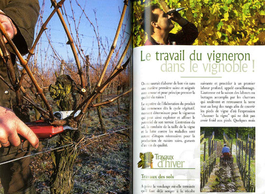 Les Vins d'Alsace - ID L'EDITION