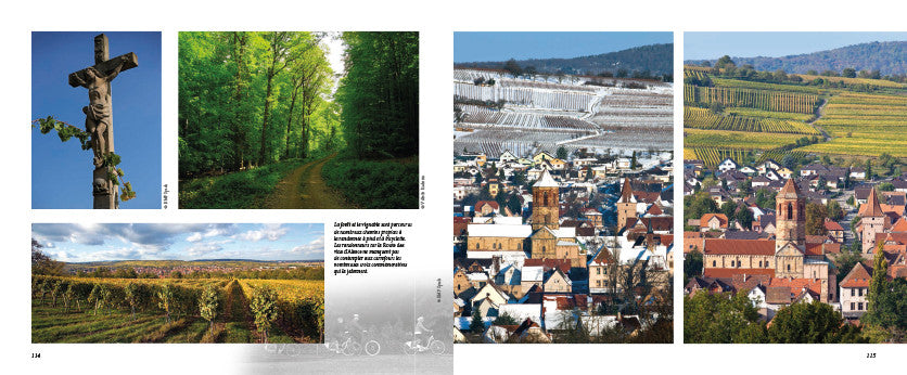 De la plaine d'Alsace au Mont Sainte-Odile - ID L'EDITION