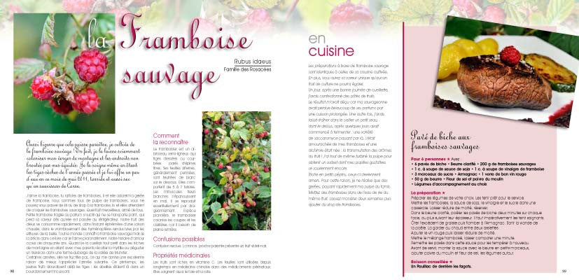 Gastronomie et Plantes Sauvages Tome 2 - ID L'EDITION